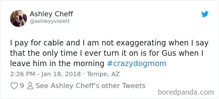 233 Funny Dog Tweets Every Dog Owner Should See ASAP