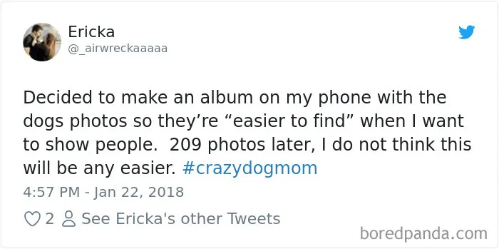 233 Funny Dog Tweets Every Dog Owner Should See ASAP