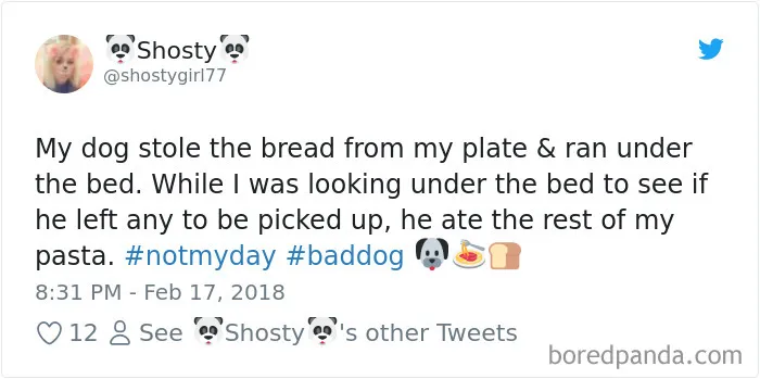 233 Funny Dog Tweets Every Dog Owner Should See ASAP