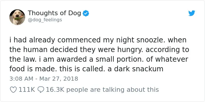 233 Funny Dog Tweets Every Dog Owner Should See ASAP