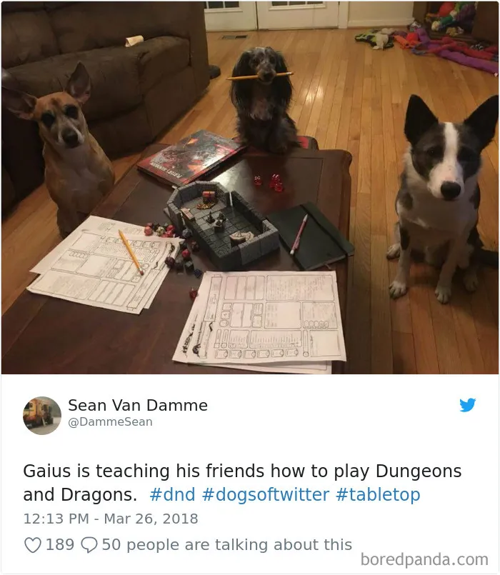 233 Funny Dog Tweets Every Dog Owner Should See ASAP
