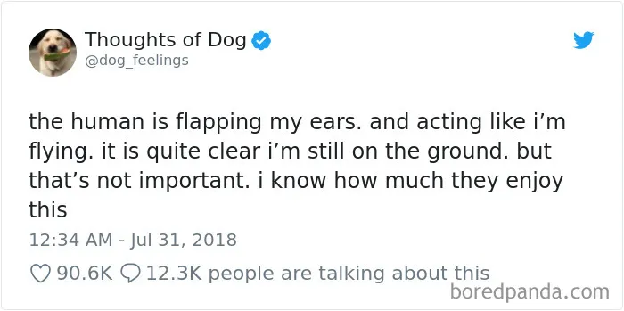 233 Funny Dog Tweets Every Dog Owner Should See ASAP