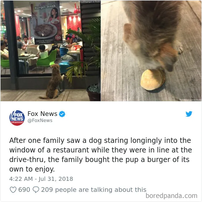 233 Funny Dog Tweets Every Dog Owner Should See ASAP