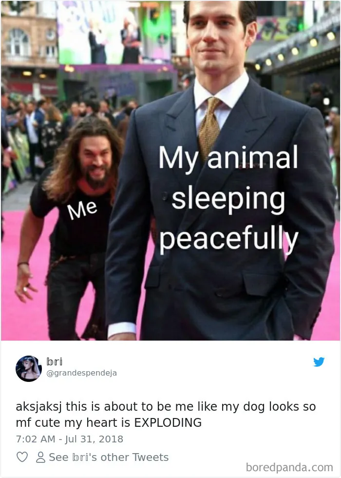 233 Funny Dog Tweets Every Dog Owner Should See ASAP