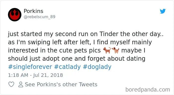 233 Funny Dog Tweets Every Dog Owner Should See ASAP