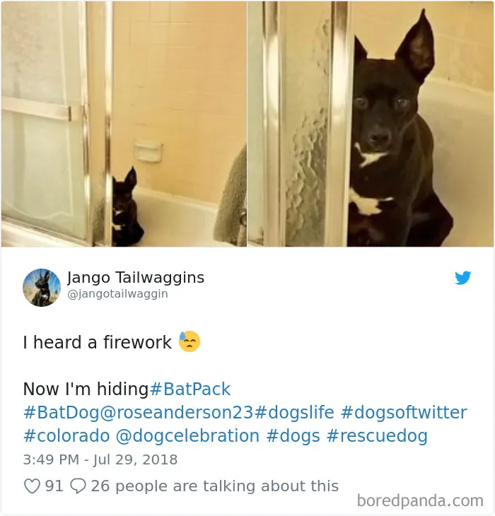 233 Funny Dog Tweets Every Dog Owner Should See ASAP
