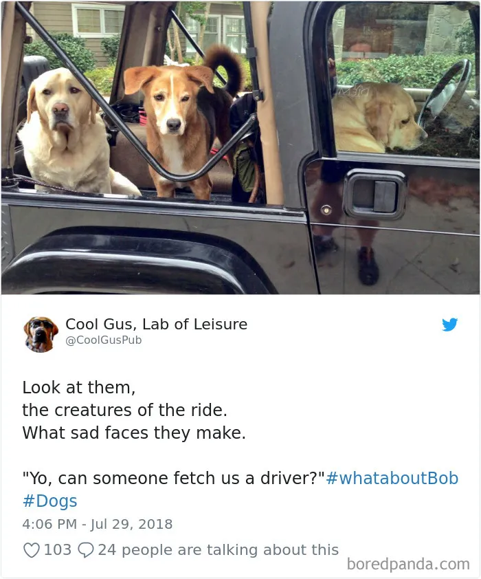 Hilarious-Dog-Tweets
