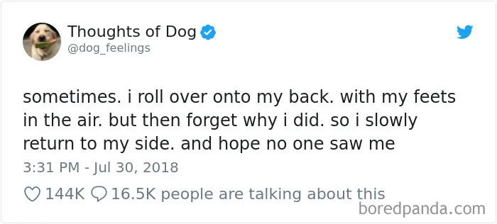 233 Funny Dog Tweets Every Dog Owner Should See ASAP