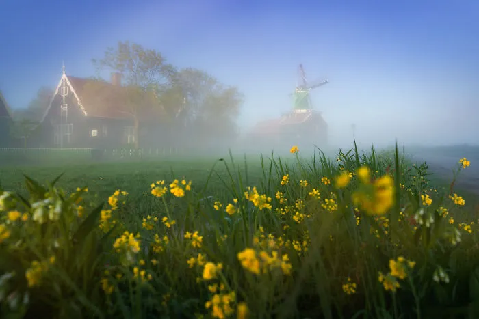 With The Sun Up The Fog Slowly Flows Out Of The Way Revealing The Magical Scenery Of The Zaanse Schans