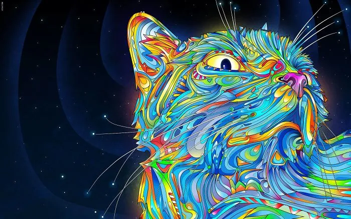 I Love Cats