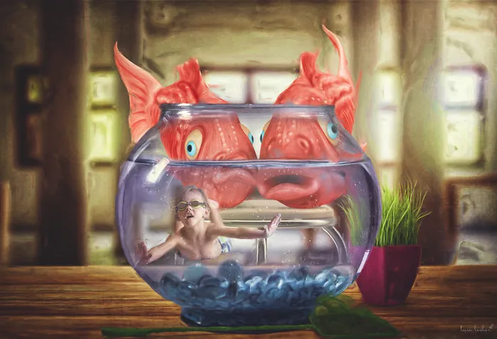 Fish Out Of Water