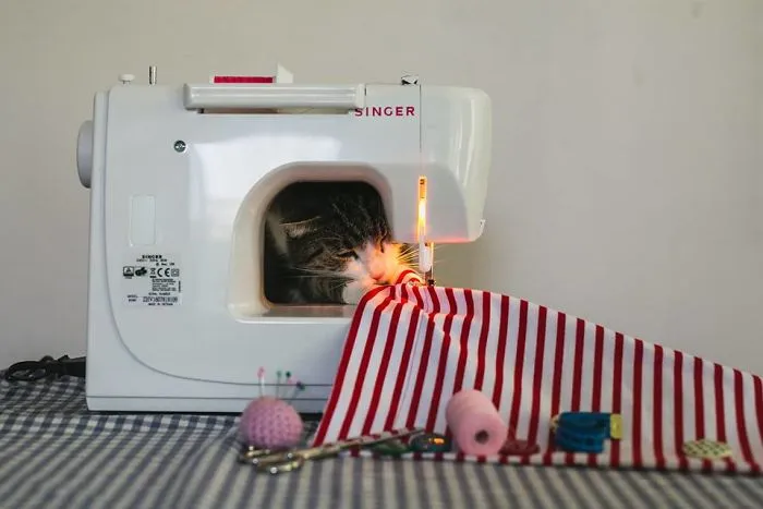 Here Are My Two Favorite Models - My Cats (30 Pics)