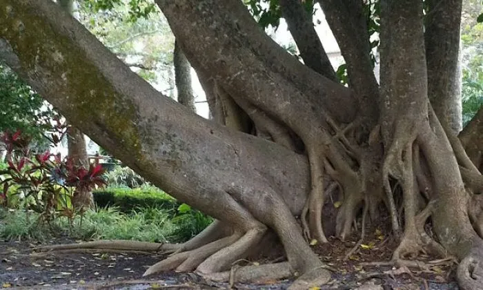 Mother Nature And Some Great Photos