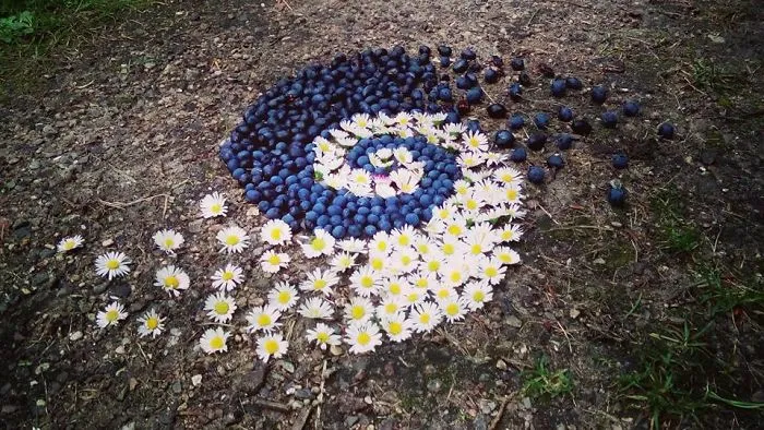 I Create Mandalas From Things I Find In Nature As A Way To Meditate