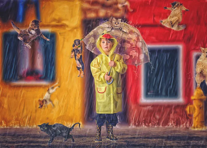 Raining Cats And Dogs
