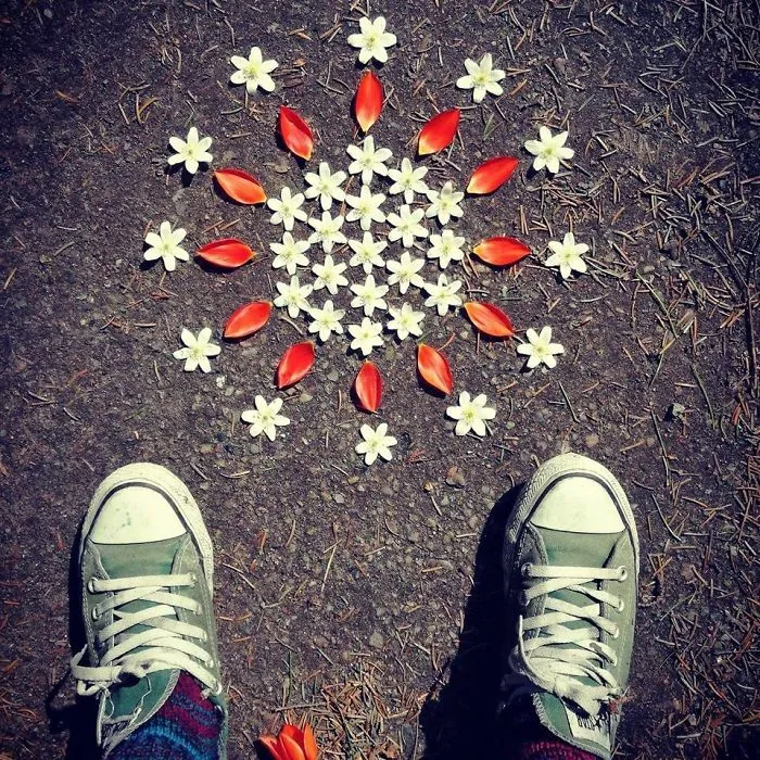 I Create Mandalas From Things I Find In Nature As A Way To Meditate
