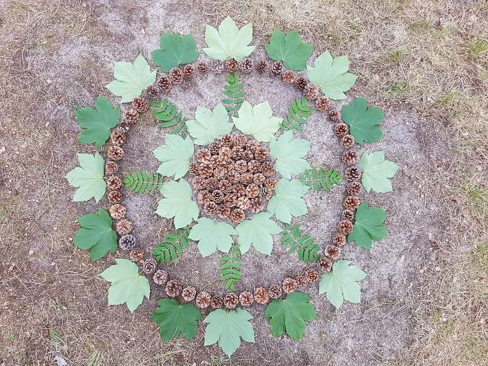 I Create Mandalas From Things I Find In Nature As A Way To Meditate