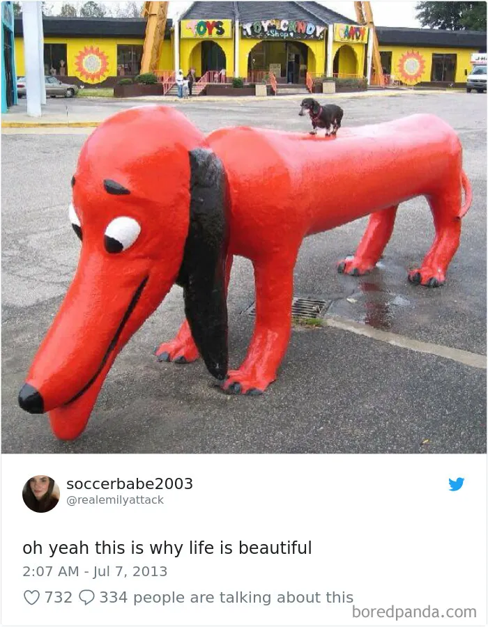 233 Funny Dog Tweets Every Dog Owner Should See ASAP