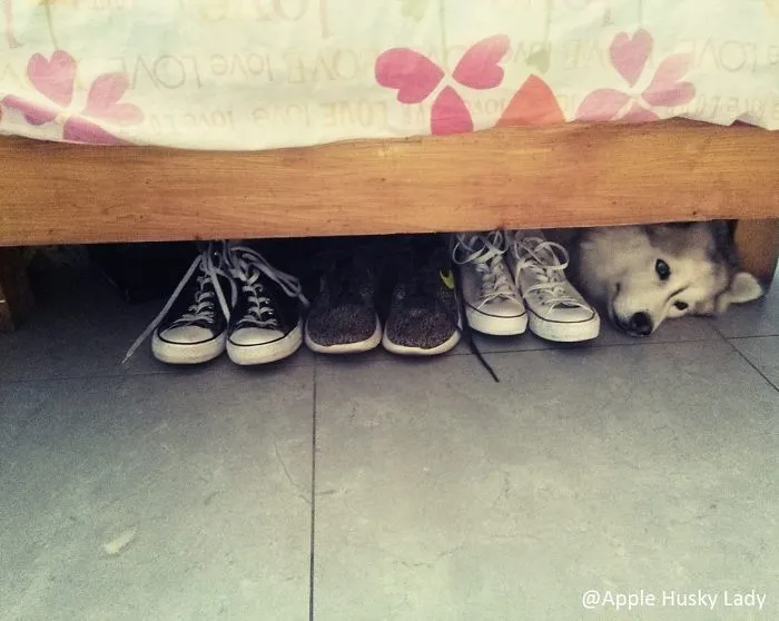 Finally Found The Lost Shoe