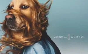 This Dog Recreated Madonna’s Iconic Photos, And The Attention To Detail Is Unbelievable