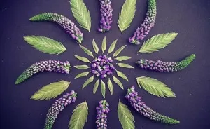 I Create Mandalas From Things I Find In Nature As A Way To Meditate
