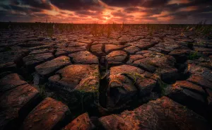 I Captured The Extreme Drought Along The Dutch Coastlines
