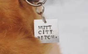 You Need These Salty, Sweet And Spicy Pet Id Tags