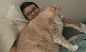 We Fell In Love With This 33-Pound Cat, So We Decided To Adopt Him And Start His Weight Loss Journey