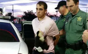 A Selection Of Probably The Craziest Florida Man Headlines