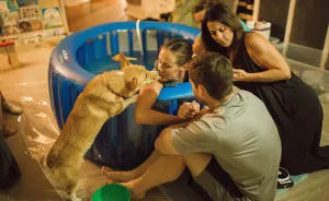 Mom Giving Birth Doesn’t Realize Her Corgi Never Leaves Her Side, Then Photographer Shows Her These Pics