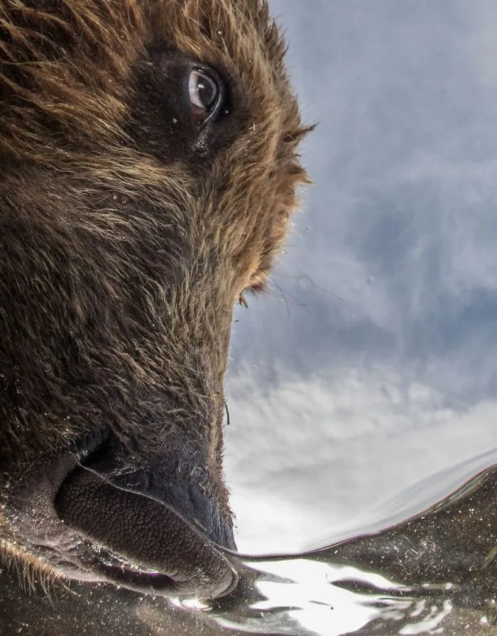 Portrait Category Runner Up: "The Nose" By Mike Korostelev, Russian Federation