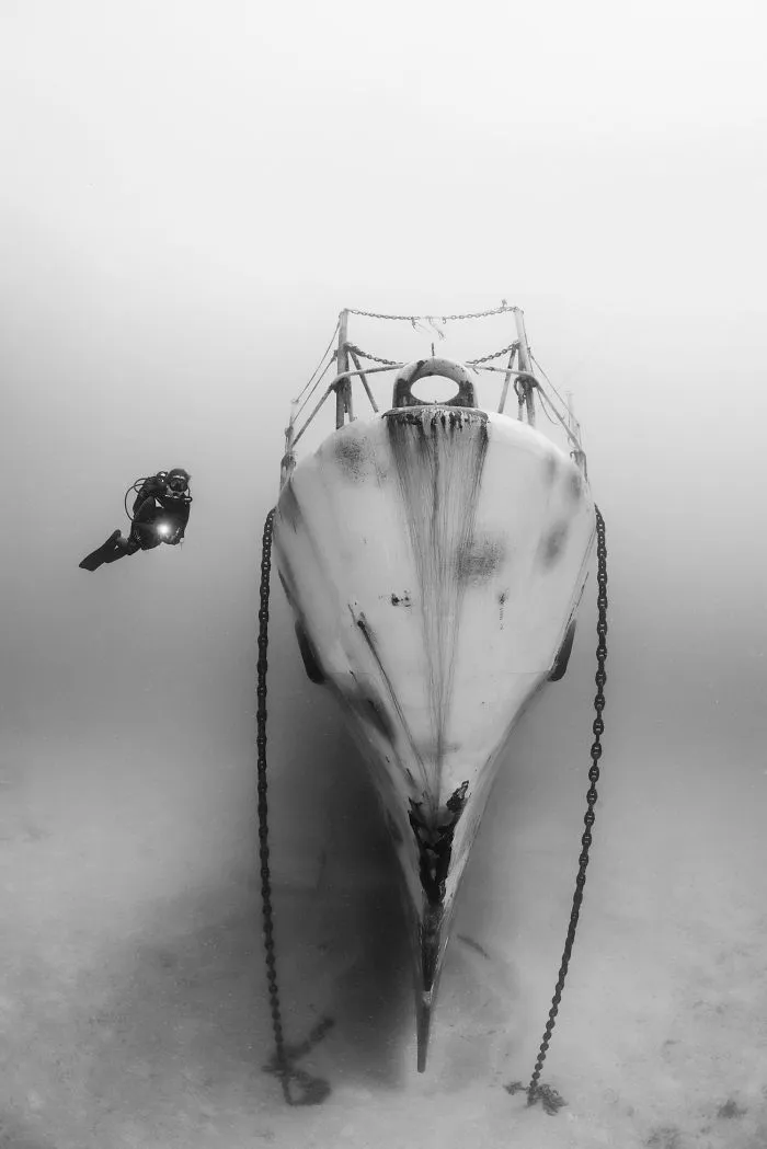 Black & White Category: "Gravity" By Miguel Pereira, Portugal