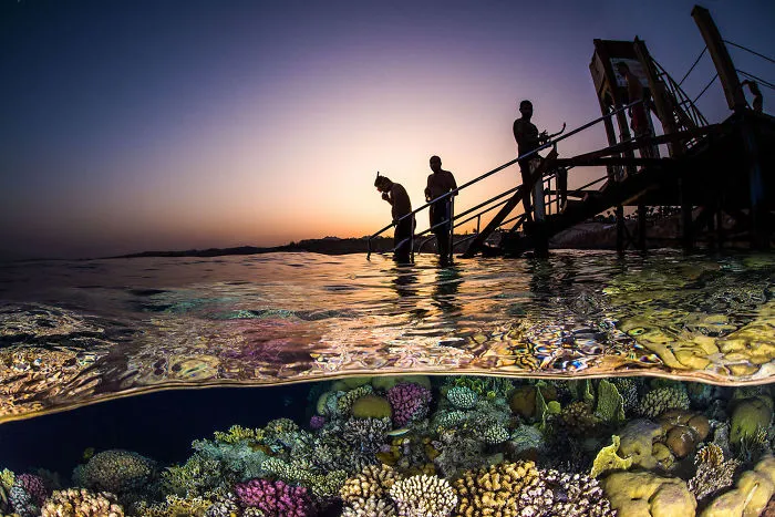 Wide Angle Category: Third "Evening Snorkel" By Brook Peterson, Usa