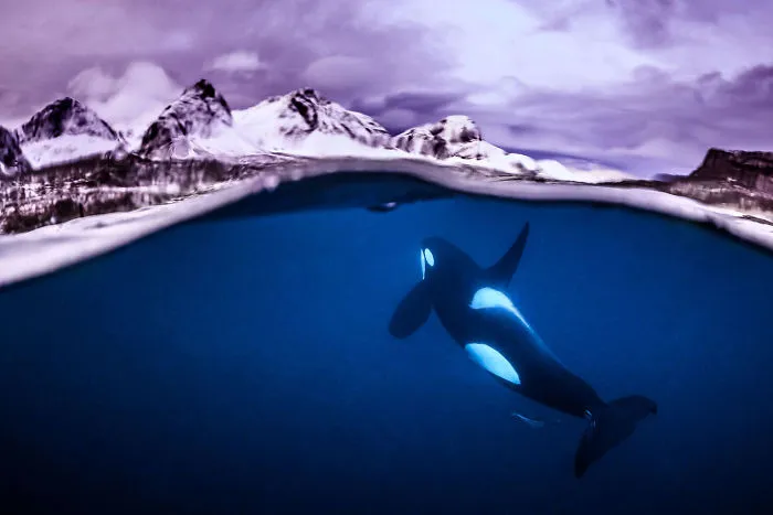 Wide Angle Category: "Breathtaking" By Tobias Friedrich, Germany