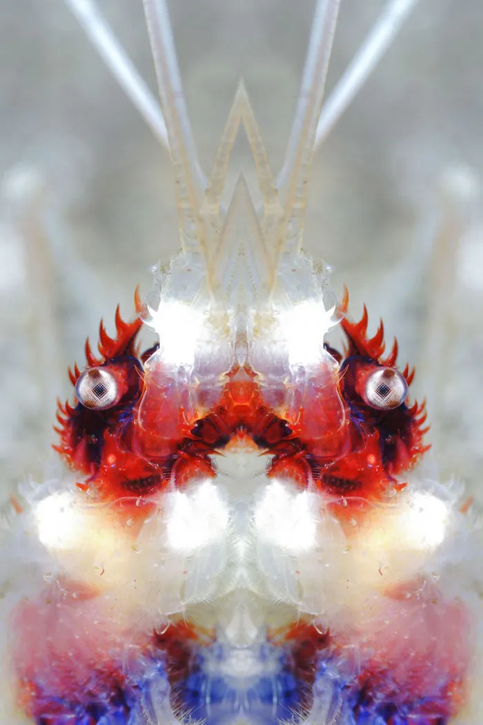 Up & Coming Category: "Ruby" By Clarissa Ace, Indonesia