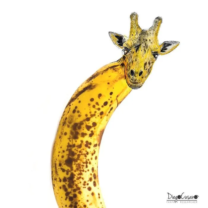 Artist Turns Ordinary Everyday Objects Into Clever Illustrations