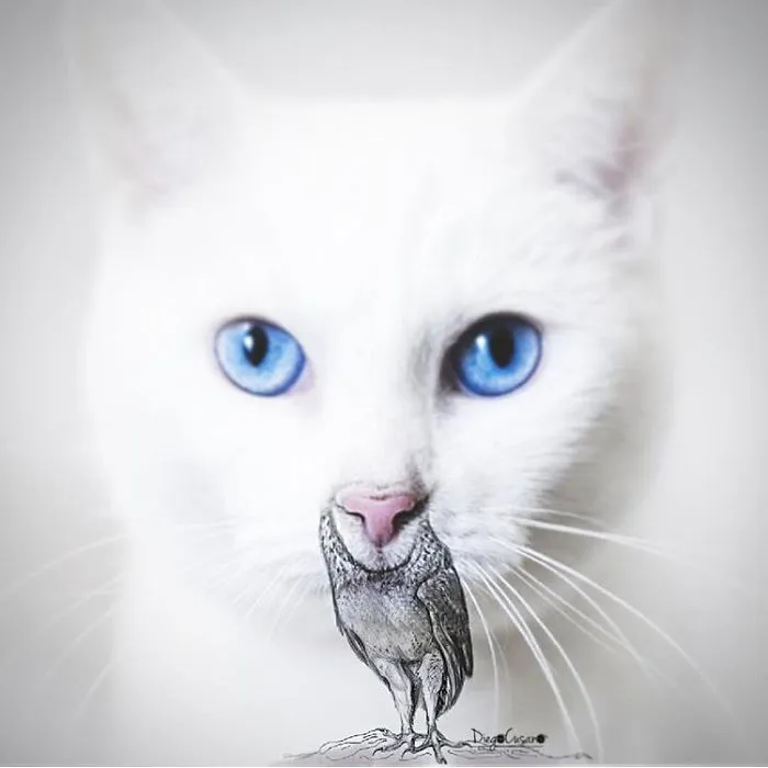 Artist Turns Ordinary Everyday Objects Into Clever Illustrations