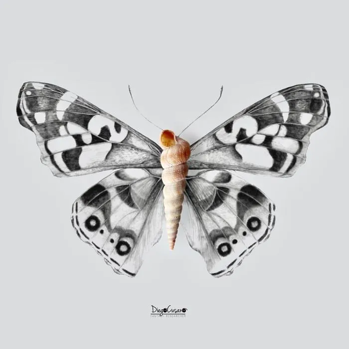 Artist Turns Ordinary Everyday Objects Into Clever Illustrations