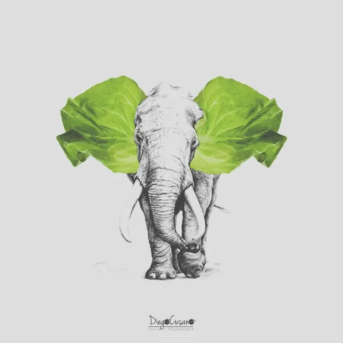 Artist Turns Ordinary Everyday Objects Into Clever Illustrations