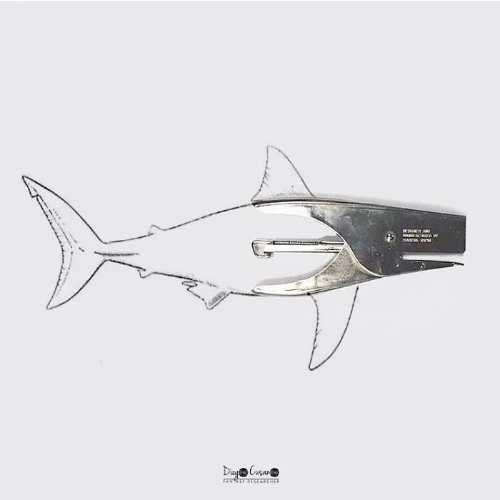 Artist Turns Ordinary Everyday Objects Into Clever Illustrations