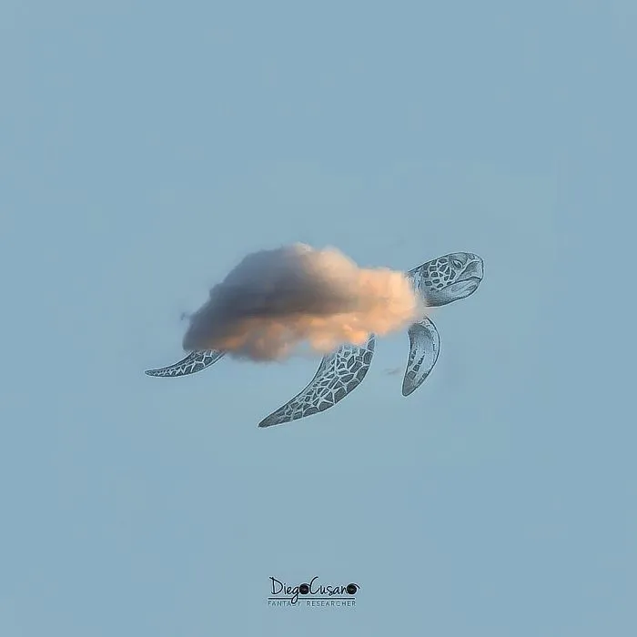 Artist Turns Ordinary Everyday Objects Into Clever Illustrations