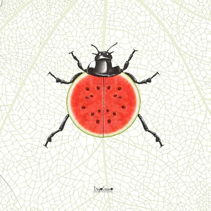 Artist Turns Ordinary Everyday Objects Into Clever Illustrations