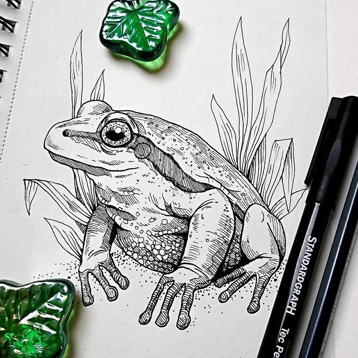 30 Intricate Drawings Of Animals Created By Me
