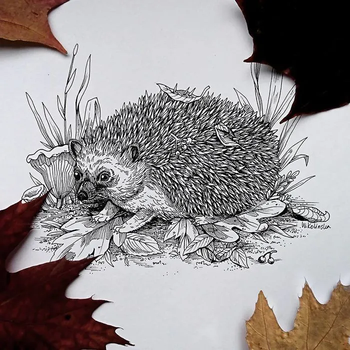 30 Intricate Drawings Of Animals Created By Me