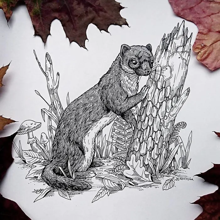 30 Intricate Drawings Of Animals Created By Me