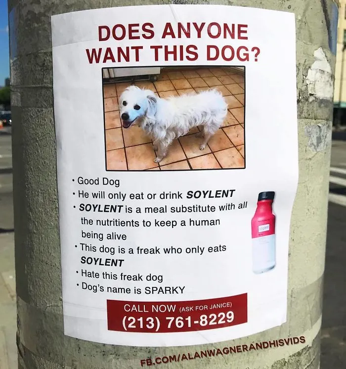 This Guy Won't Stop Trolling His Neighborhood With Fake Posters, And People Can't Stop Laughing