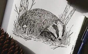 30 Intricate Drawings Of Animals Created By Me