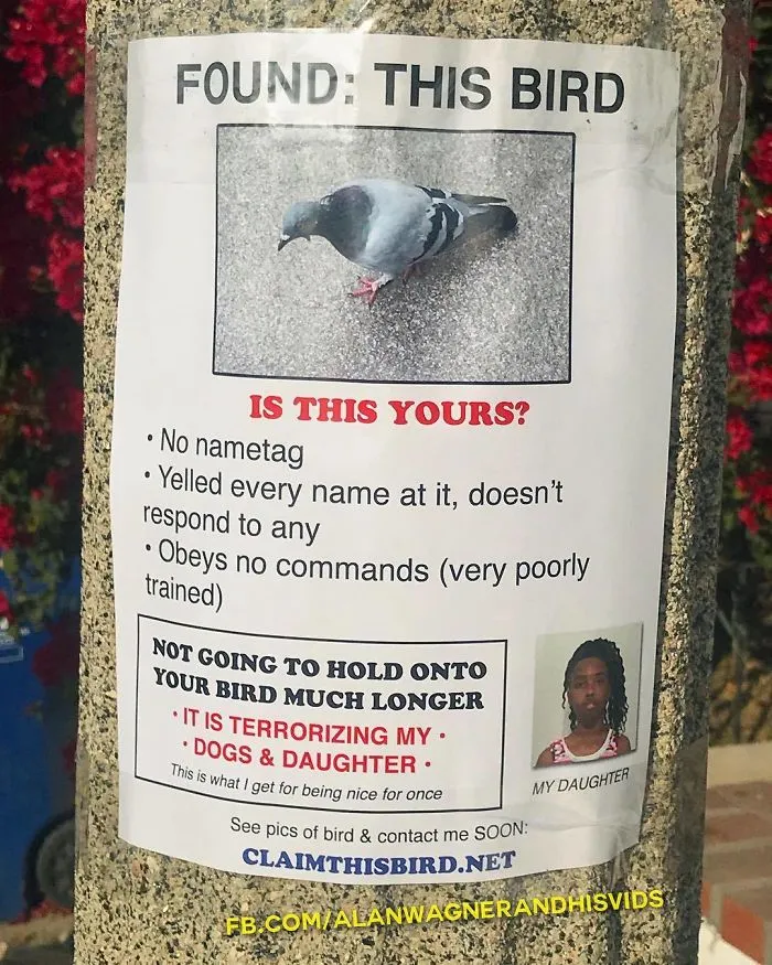 This Guy Won't Stop Trolling His Neighborhood With Fake Posters, And People Can't Stop Laughing