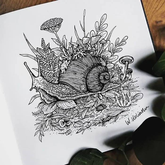 30 Intricate Drawings Of Animals Created By Me