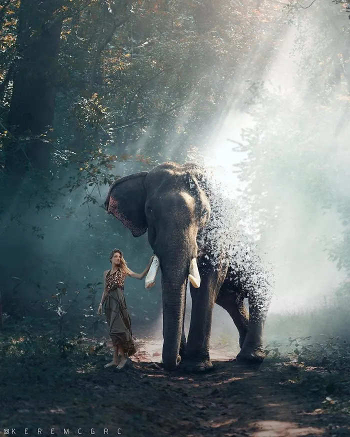 52 Surreal Photo Manipulations That I Created